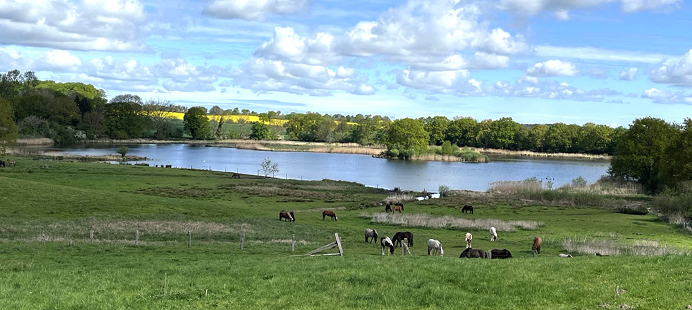 Ferienwohnung Malente - Casita in Ostholstein, Schleswig-Holstein nahe der Ostsee