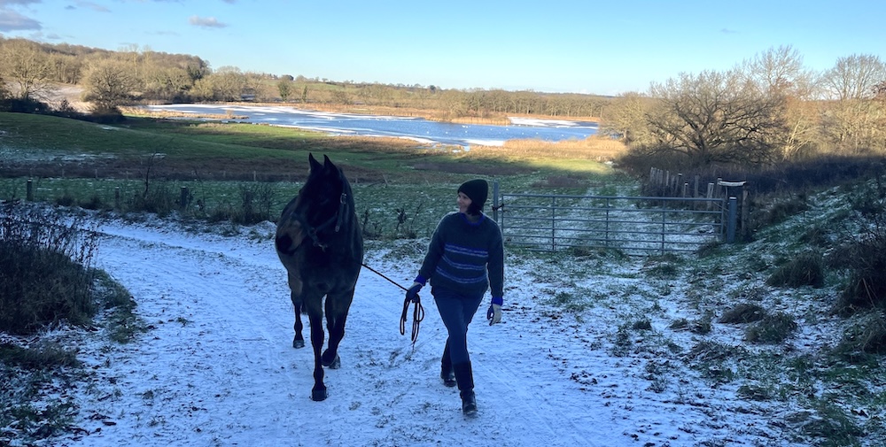 Ferienwohnung Malente - Casita in Ostholstein, Schleswig-Holstein nahe der Ostsee