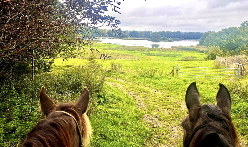 Ferienwohnung Malente - Casita in Ostholstein, Schleswig-Holstein nahe der Ostsee